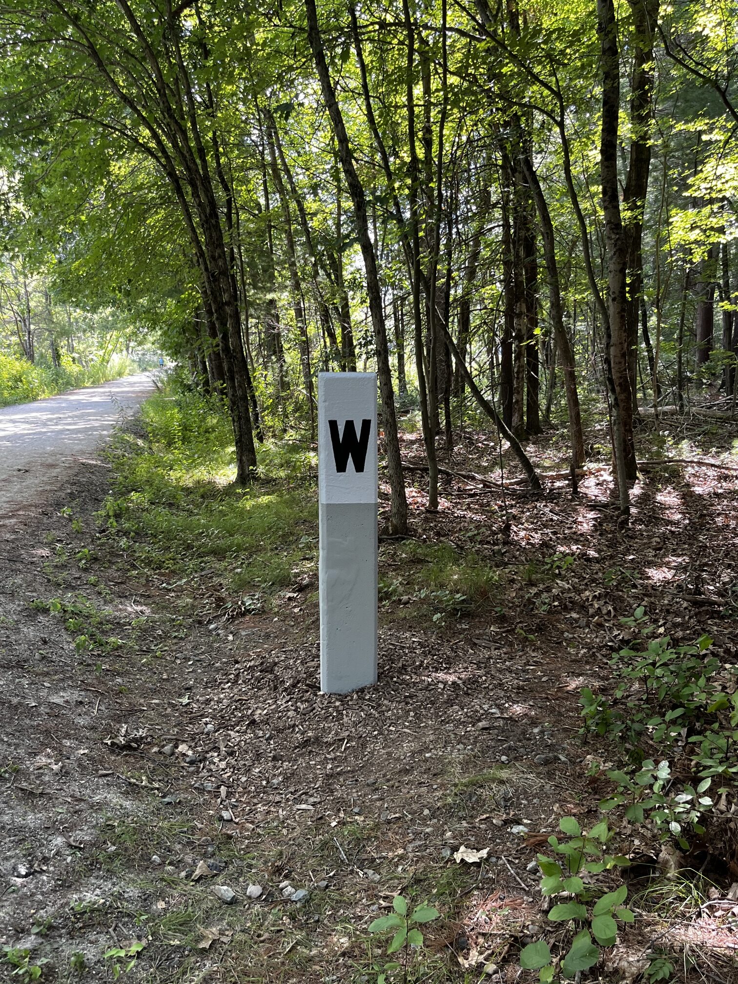 The restored whistle post beside the trail, painted white with a crisp black W near the top
