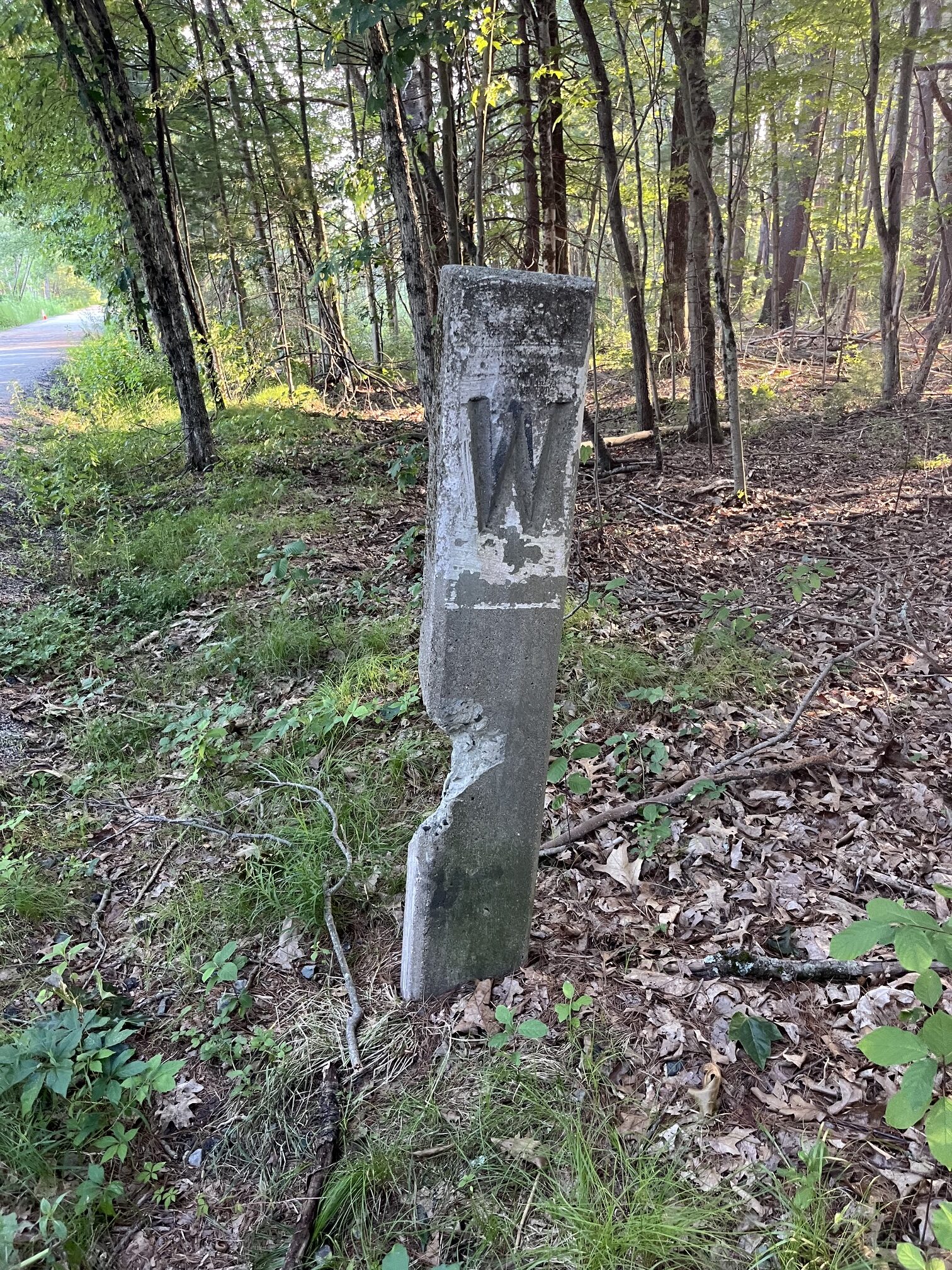 The concrete whistle post before restoration, stained and mossy with the painted W barely visible and a chipped corner