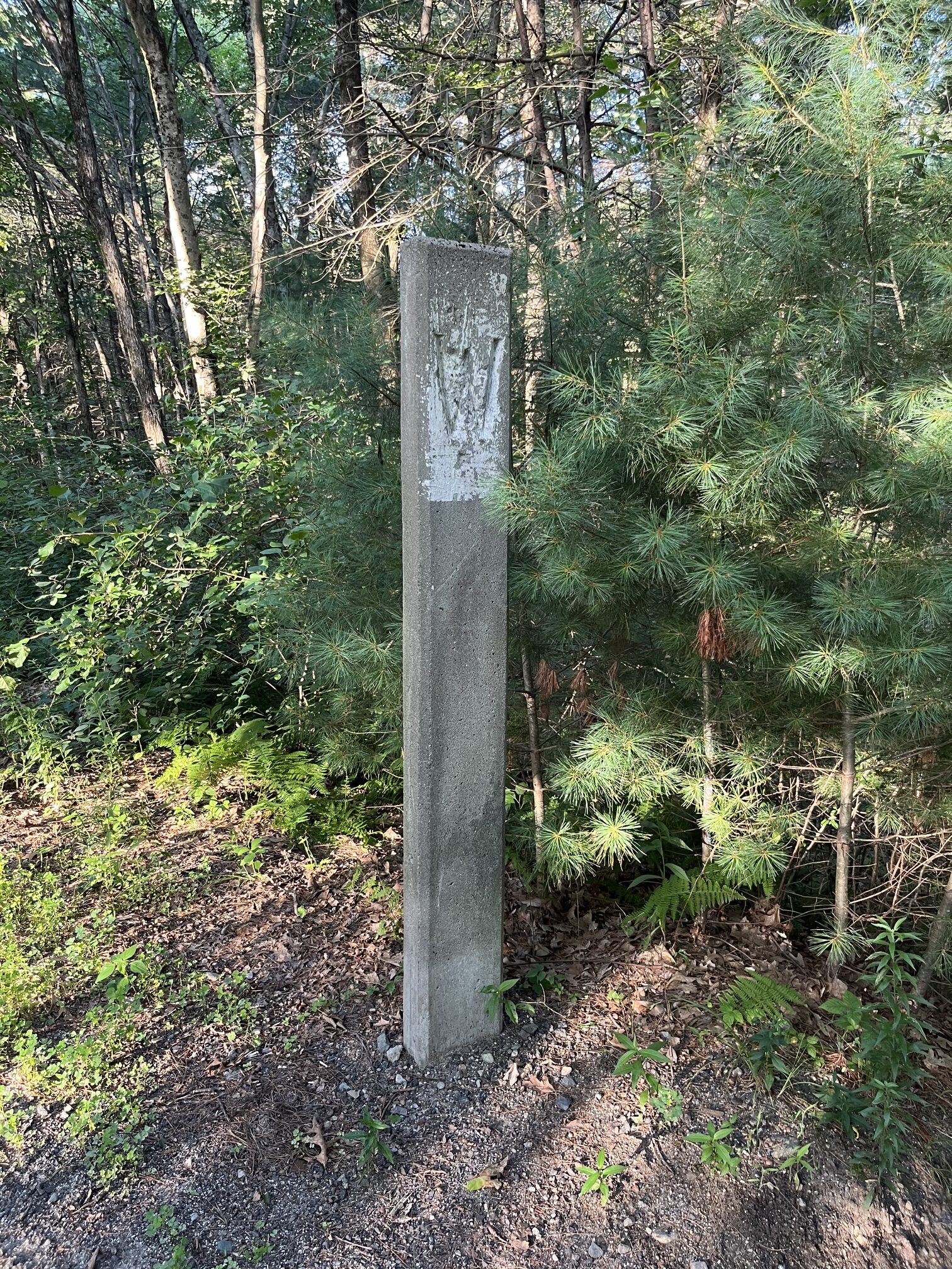The blank side of the weathered concrete whistle post before restoration, surrounded by brush and pine trees