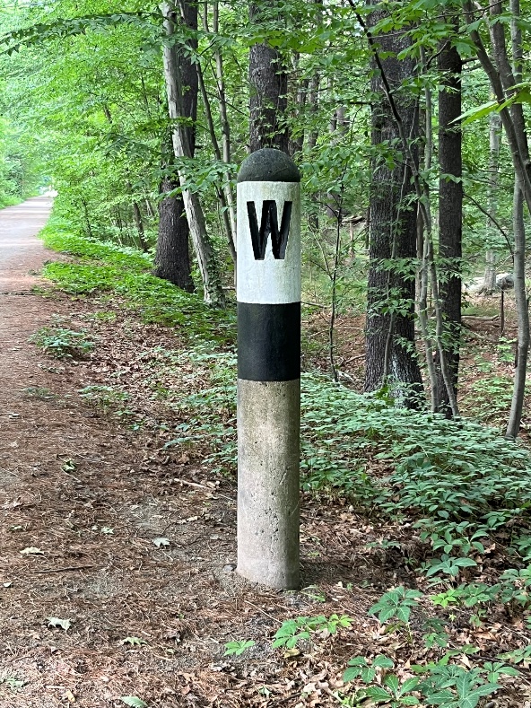 A concrete whistle post with a freshly painted white top bearing a black W, above a black band, standing beside a wooded trail